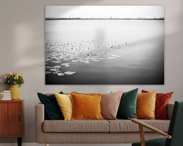 Nederlandse waterlelies op een meer in zwart wit, fotoprint