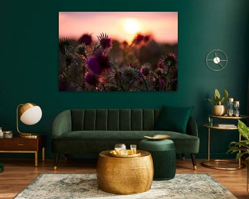 Thistle in bloom during a sunset on Schiermonnikoog by Karijn | Fine art Natuur en Reis Fotografie