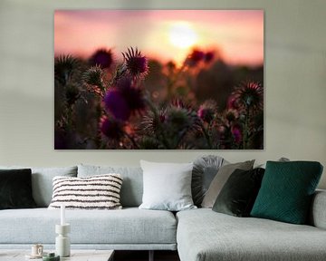Blühende Distel während eines Sonnenuntergangs auf Schiermonnikoog von Karijn | Fine art Natuur en Reis Fotografie