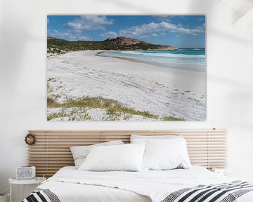Wharton Beach, Cape Le Grand National Park, West-Australië van Alexander Ludwig