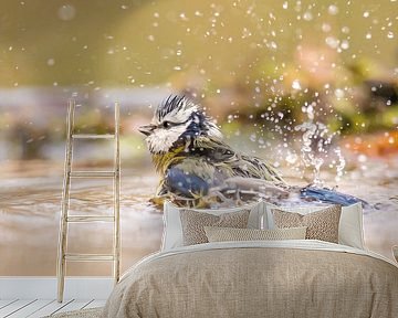 Bath by Kris Hermans