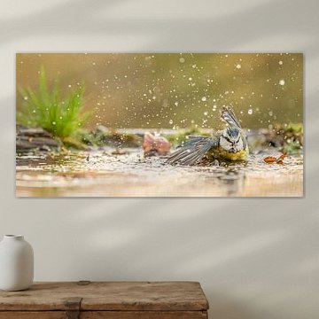 propre ! sur Kris Hermans