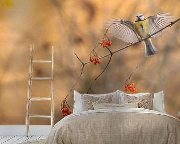 Speech! by Kris Hermans