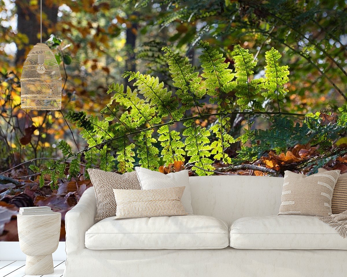 Raumvorschau