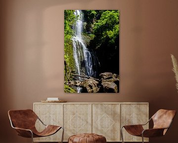 Wasserfall auf Maui von Dirk Rüter