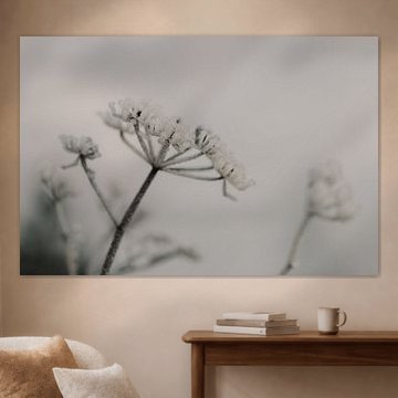 Makroaufnahme - Eis auf Blume 3