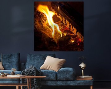 Fire by Bo Valentino