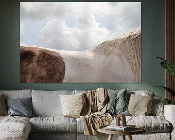 Landscape with horse by Everards Photography