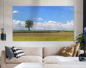 Filder landscape near Wolfschlugen