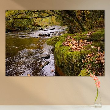 herfstbladeren op het mos van Bas Wolfs