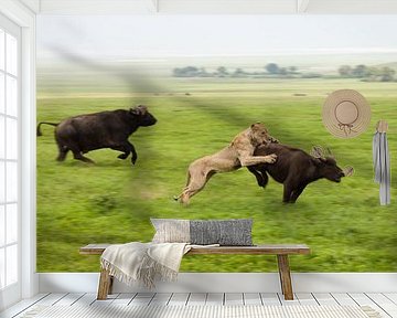 Hoe een leeuw een buffel vangt van Stephan Spelde
