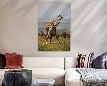 Giraffe Ochtendgymnastiek van Stephan Spelde