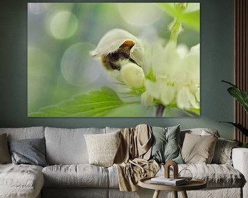 Bumblebee in flower by Corinne Welp
