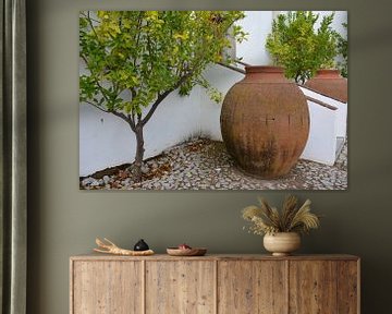 Kruiken en citrusboom Portugal van My Footprints