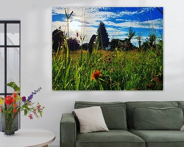 Sun Meadow by Frank Meier