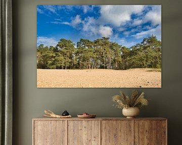 Sanddrift in ihrer schönsten Form von Henrico Fotografie