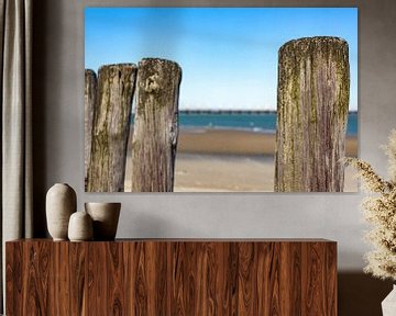Close-up beach posts by Percy's fotografie