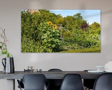 Sonnenblumen in einem botanischen Garten