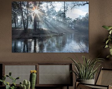 Rosée et soleil matinal Driebergen Zeist ! sur Peter Haastrecht, van