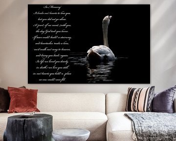 White swan by MSP Canvas