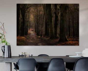 Reiten im Amerongseer Wald von Moetwil en van Dijk - Fotografie