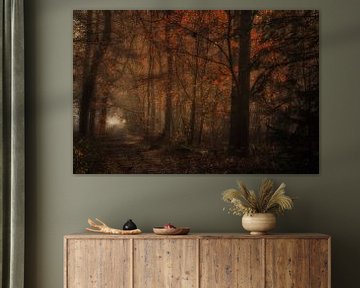 La forêt enchantée sur Moetwil en van Dijk - Fotografie