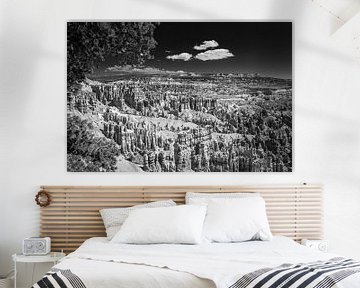 Bryce Canyon in schwarz und weiß