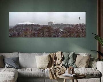 Snow panorama
