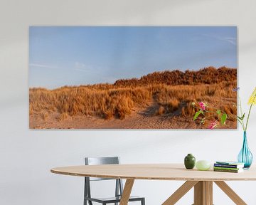 Dunes avec lumière du soir sur Percy's fotografie