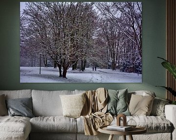 Besneeuwd landschap 6