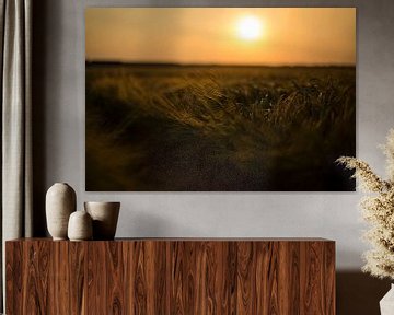 Grain field during sunset (Groningen - Netherlands) by Marcel Kerdijk