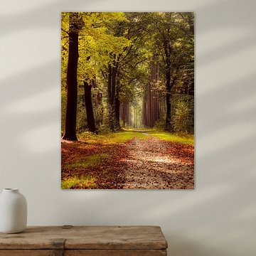 Nazomer op landgoed Velhorst