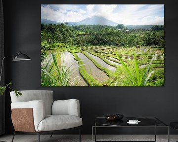 Rice fields of Jatiluwih Bali Indonesia by Esther esbes - kleurrijke reisfotografie