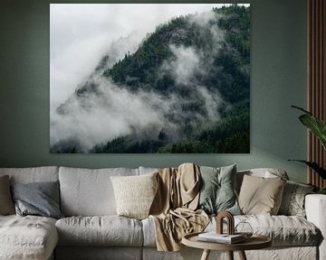 Dennebomen in de wolken gehuld in Noorwegen van Teun Janssen