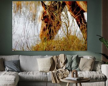 Wilde, dorstige paarden op Schiermonnikoog van Foto Graaf Eric