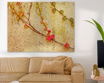 Living Wall (Klimplanten op muur) van Caroline Lichthart