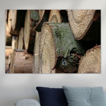 Een stapel boomstammen