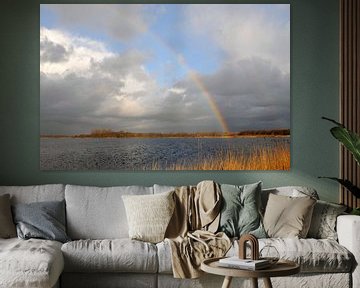 Rainbow over Botshol by Wim Stolwerk