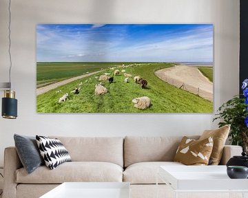 Moutons sur une digue le long de la mer des Wadden sur Marc Venema