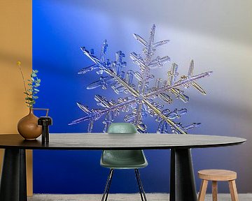 LP 70487386 A real snowflake with the classic 6-sided star shape