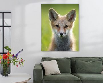 LP 71070335 Portret van een vos van BeeldigBeeld Food & Lifestyle