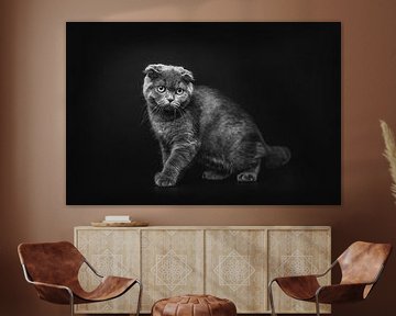 Fine art print van kat tegen donkere achtergrond van Lotte van Alderen