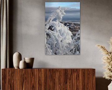 Paysage hivernal dans les montagnes du Harz sur t.ART