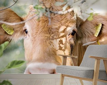 Limousin koe portret in de natuur | Dierenfotografie wall art van Milou van Ham