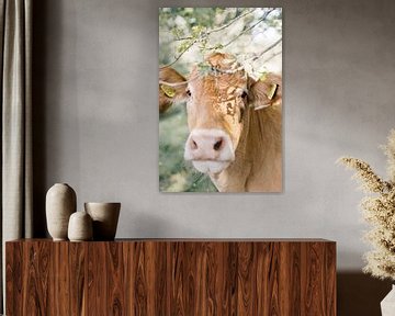 Limousin koe portret in de natuur | Dierenfotografie wall art van Milou van Ham
