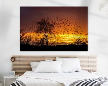 Starling sunset 2 van Yvonne van der Meij