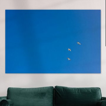 Drei Möwen in weiten blauen Himmel am Meer