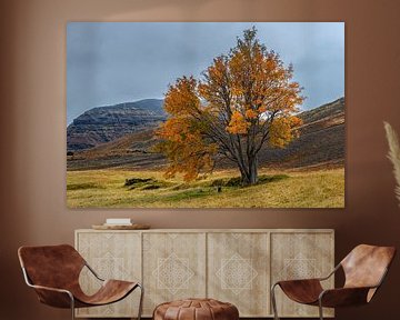 De beroemde boom van Sandfell in IJsland van Gerry van Roosmalen