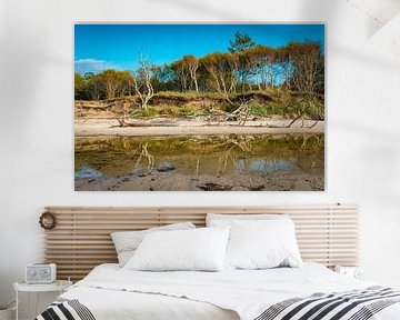 Westelijk strand op Fischland-Darß-Zingst van Martin Wasilewski