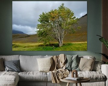 De mythologische boom van Sandfell in IJsland van Gerry van Roosmalen